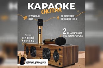 432.obzor karaoke sistemy dlya doma s dvumya mikrofonami daimax syuita Обзор караоке системы для дома с двумя микрофонами Daimax Сюита